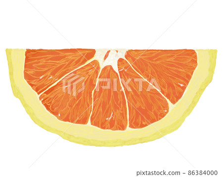 葡萄柚橫截面一半_水平 86384000