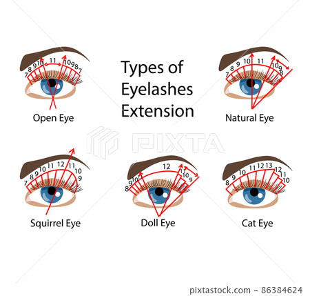Eyelash Extension types and forms. For Beuty salons. Infographic 86384624
