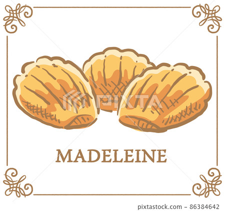 Madeleine. Handwritten sweets. Vector illustration material 86384642