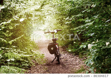 Bike on a dirt single trail with bushes and leaves on the side before reaching a clearing with bright sunshine Bike on a dirt single trail with bushes and leaves on the side before reaching a clearing with bright sunshine 86384817