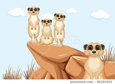 Desert background with a group of meerkats 86385891