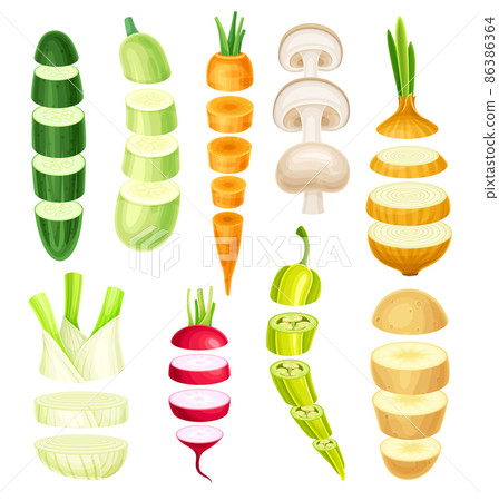 Set of vegetable slices lying in vertical rows. Healthy organic cutting potato, pepper, zucchini, onion, champignon, carrot, mushroom, radish vector illustration 86386364