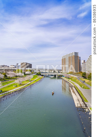 從大島小松川公園和紅葉大橋的櫻花看久中川(2021年3月) 從大島小松川公園和紅葉大橋的櫻花看久中川(2021年3月) 86386935