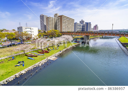 從大島小松川公園和紅葉大橋的櫻花看久中川(2021年3月) 從大島小松川公園和紅葉大橋的櫻花看久中川(2021年3月) 86386937