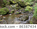 清新的綠色自然風光河水流 86387434