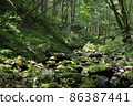清新綠色自然風光登山 86387441