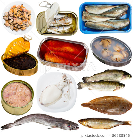 Set of assorted raw fish and seafoods 86388546