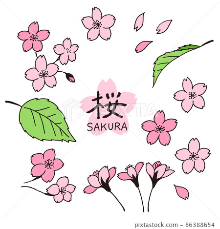 一套手繪的櫻花花瓣和葉子線條藝術插圖 86388654