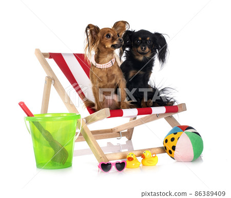 Russkiy Toys in studio 86389409