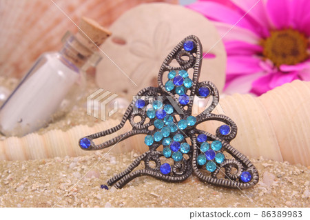 Sea Shells With Flower and Jewelry on Sandy Beach Sea Shells With Flower and Jewelry on Sandy Beach 86389983