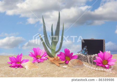 Jewelry and Aloe Plant on Beach With Blue Sky Background Jewelry and Aloe Plant on Beach With Blue Sky Background 86389986