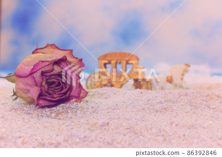 Dried Rose on Beach With Horse Carriage in Background 86392846