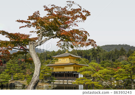 Late autumn Shari-den Temple Kyoko Pond and Sariden Kinkaku Late autumn Shari-den Temple Kyoko Pond and Sariden Kinkaku 86393243