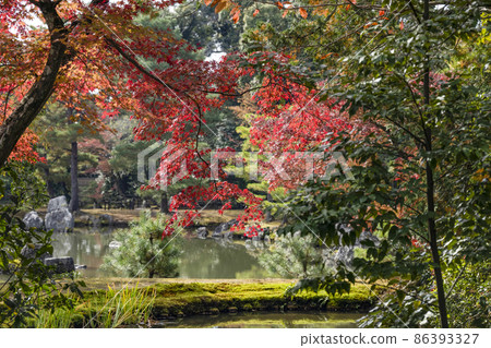 深秋金閣寺境內的紅葉 深秋金閣寺境內的紅葉 86393327