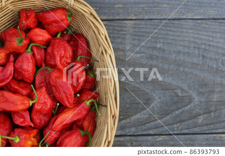 Basket of Fresh Bhut Jolokia Ghost Chili Peppers at rural farmers market 86393793