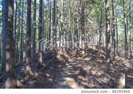 Asama Ridge Trail (Sengenrei) 86393968