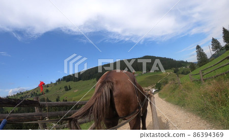 Horse pulls a chaise on a dirt path on a sunny day 86394369