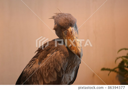 It's not a figurine 86394377