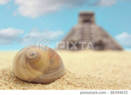 Sea Shell with Pyramid, Shallow Depth of Field 86394635