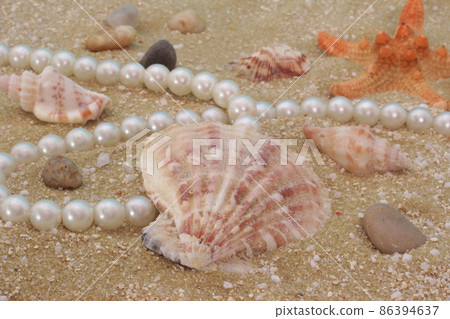 Sea Shells on Sand With Fishing Net, Shallow DOF Sea Shells on Sand With Fishing Net, Shallow DOF 86394637