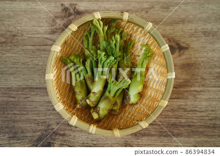 在籃子裡採摘的鱈魚芽 在籃子裡採摘的鱈魚芽 86394834