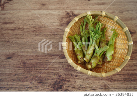 在籃子裡採摘的龍牙 在籃子裡採摘的龍牙 86394835
