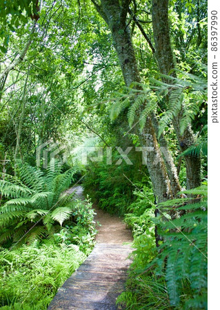 Hobbiton Movie Set Tours New Zealand Hobbiton New Zealand 86397990