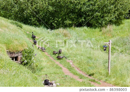 霍比屯電影佈景之旅新西蘭 Hobbiton New Zealand 86398003