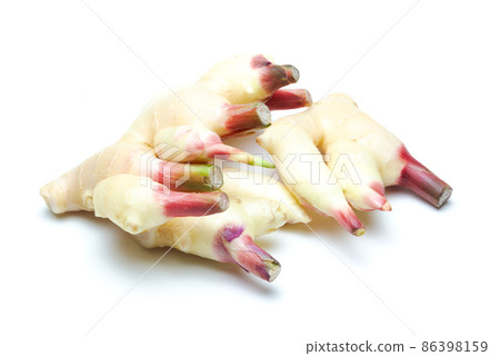 New ginger on white background 86398159