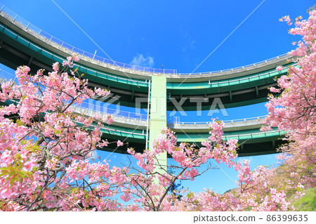 [Shizuoka Prefecture] Kawazu Nanadaru Loop Bridge and Kawazu Sakura in full bloom 86399635