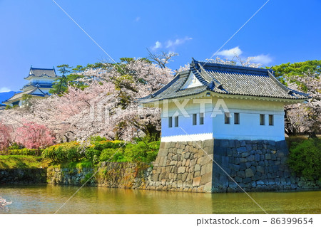 [Kanagawa Prefecture] Odawara Castle in full bloom and corner tower 86399654