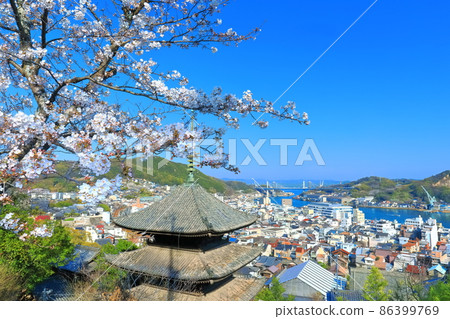 【廣島縣】天寧寺（三層塔）、尾道的街道、櫻花 86399769