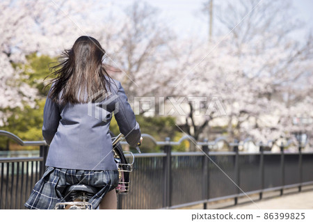在櫻花盛開的校路上騎自行車上學的女高中生 86399825
