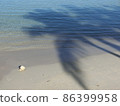 Shadows of palm trees on the sandy beach 86399958