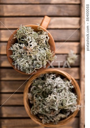 moss in a wooden mug, top view 86400088