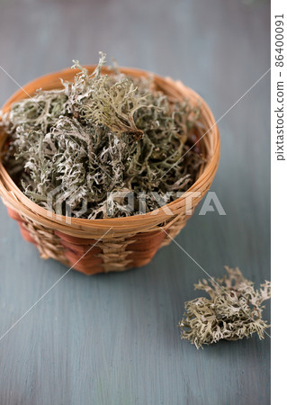 moss in a wicker basket 86400091