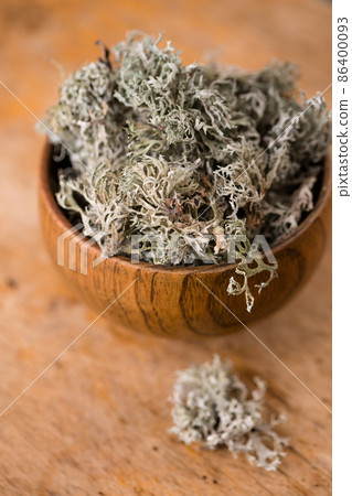 Icelandic moss in a mug 86400093
