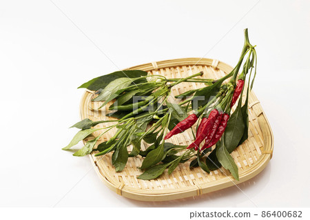 白背景鷹爪濾鍋上的紅辣椒 白背景鷹爪濾鍋上的紅辣椒 86400682