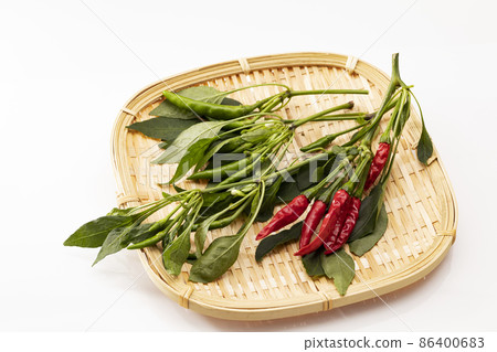 Red pepper on a colander with a white background_hawk's claw Red pepper on a colander with a white background_hawk's claw 86400683