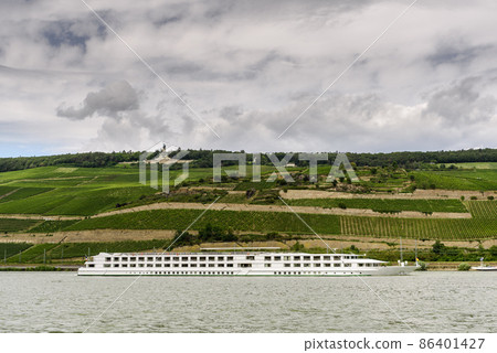 Niederwaldenkmal and vineyards near Ruedesheim am Rhein, Hesse, Germany 86401427