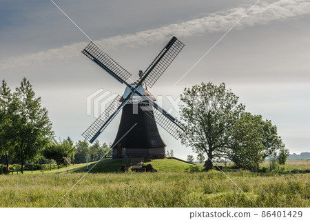 Traditional Windmill Wynhamster Kolk, Rheiderland, East Frisia, Lower Saxony, Germany Traditional Windmill Wynhamster Kolk, Rheiderland, East Frisia, Lower Saxony, Germany 86401429