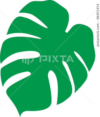 龜背竹插圖 86401454