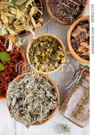 Collection of dry herbs and berries Collection of dry herbs and berries 86402159
