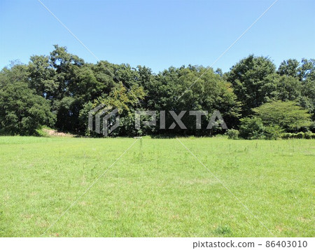 菅野館遺址 Nino Guo 菅野館遺址 Nino Guo 86403010