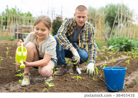 Teenager girl with her father watering plants at farm Teenager girl with her father watering plants at farm 86403438