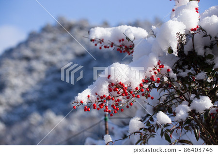 南部的天空和雪景 南部的天空和雪景 86403746