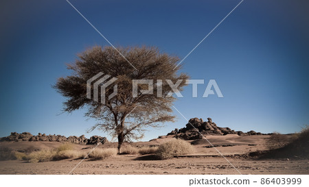 Desert Landscape with Acacia in Moul Naga valley at in Tassili nAjjer national park in Algeria Desert Landscape with Acacia in Moul Naga valley at in Tassili nAjjer national park in Algeria 86403999