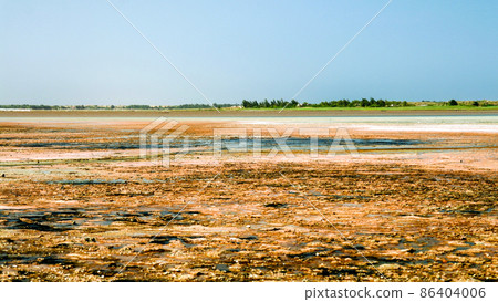 Panorama of Lake Retba near Dakar Senegal 86404006