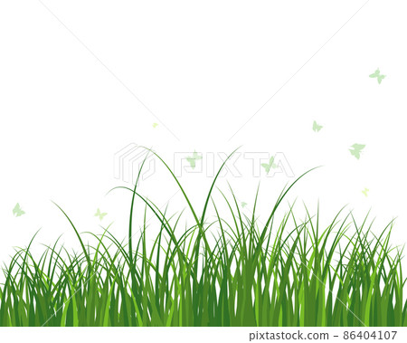 Green Grass Meadow Green Grass Meadow 86404107