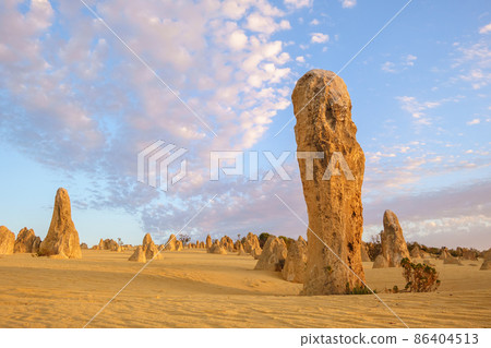 Pinnacles Desert at Nambung National Park Australia 86404513